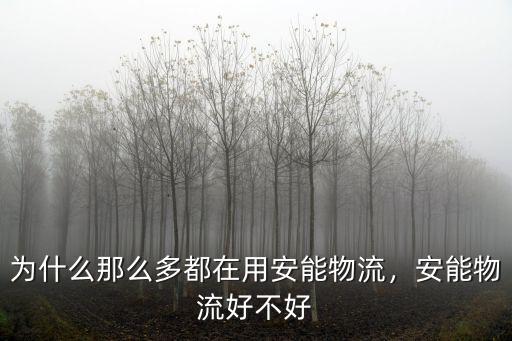 安能物流廣州總部在哪里,在安能物流發貨