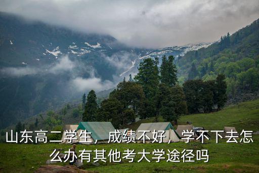 山東高二學生，成績不好，學不下去怎么辦有其他考大學途徑嗎