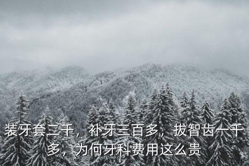 裝牙套二千，補牙三百多，拔智齒一千多，為何牙科費用這么貴