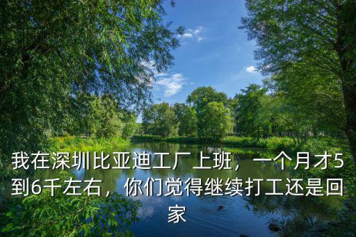 我在深圳比亞迪工廠上班，一個月才5到6千左右，你們覺得繼續(xù)打工還是回家