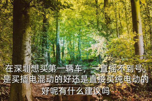深圳小汽車搖號 搖不到怎么辦,深圳搖不到號什么意思