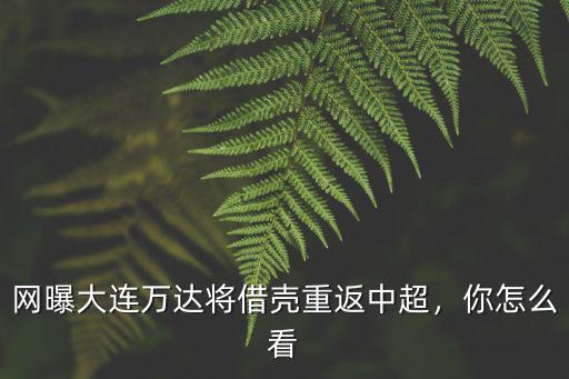 網曝大連萬達將借殼重返中超，你怎么看