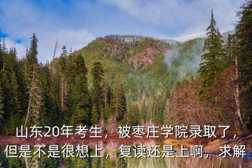山東20年考生，被棗莊學院錄取了，但是不是很想上，復讀還是上啊，求解