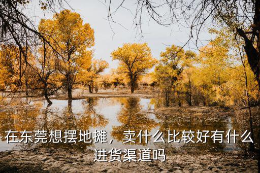 在東莞想擺地攤，賣什么比較好有什么進貨渠道嗎