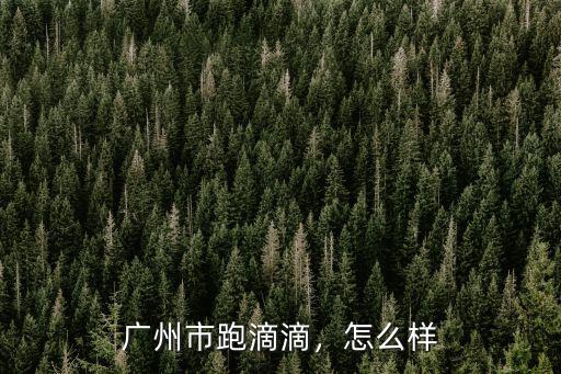 廣州市警察多少人,廣州市招人民警察開始了