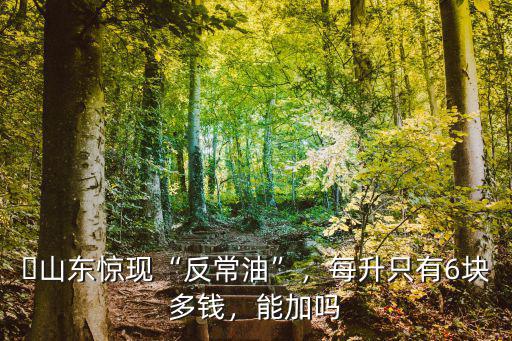 ?山東驚現(xiàn)“反常油”，每升只有6塊多錢，能加嗎
