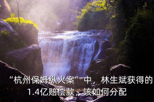 “杭州保姆縱火案”中，林生斌獲得的1.4億賠償款，該如何分配