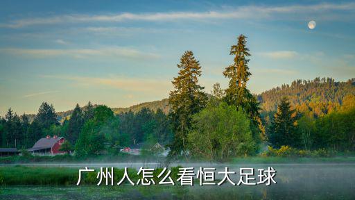 淘寶怎么不接廣州足球,如何評價廣州恒大淘寶俱樂部