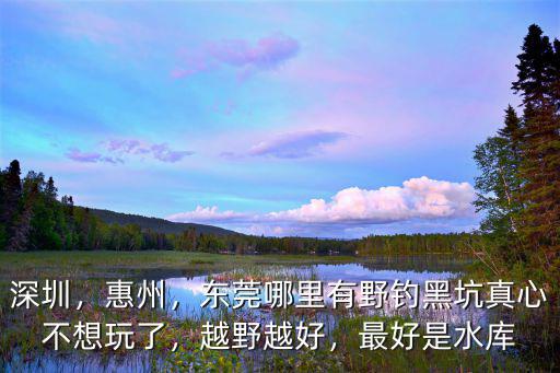 深圳，惠州，東莞哪里有野釣黑坑真心不想玩了，越野越好，最好是水庫