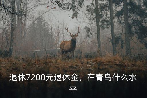 青島2020年事業單位退休金是多少,退休7200元退休金