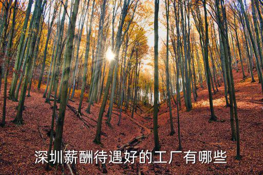 深圳薪酬待遇好的工廠有哪些