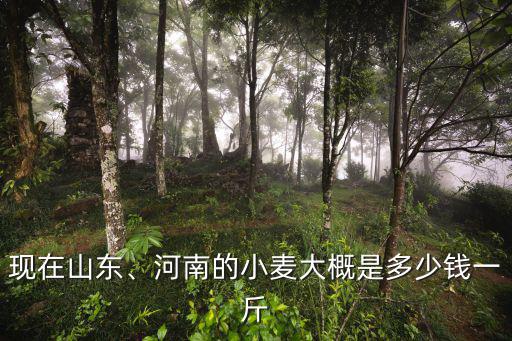 現(xiàn)在山東、河南的小麥大概是多少錢一斤