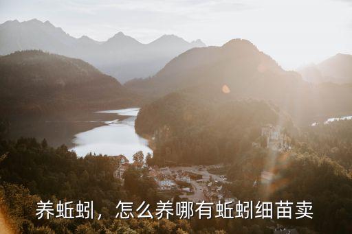 梅州豐順哪里有養蚯蚓,哪有蚯蚓細苗賣