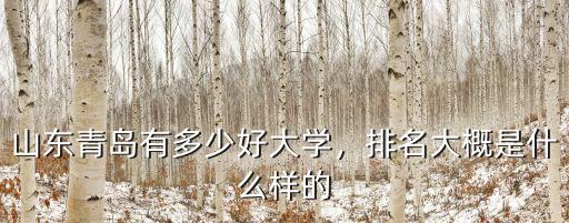 青島市總共有多少家大學(xué),山東青島有多少好大學(xué)