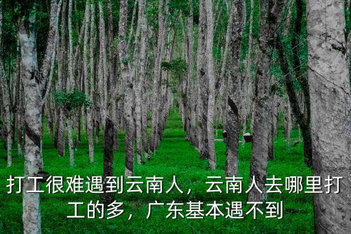 打工很難遇到云南人，云南人去哪里打工的多，廣東基本遇不到