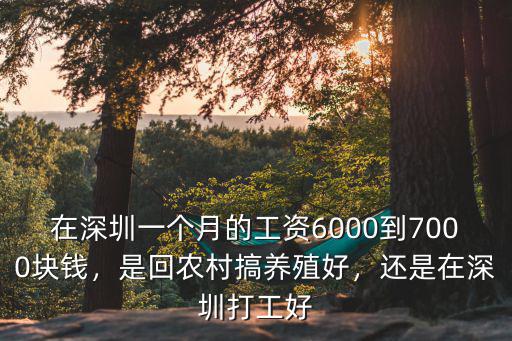 在深圳一個月的工資6000到7000塊錢，是回農村搞養殖好，還是在深圳打工好