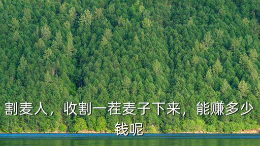 割麥人，收割一茬麥子下來(lái)，能賺多少錢呢