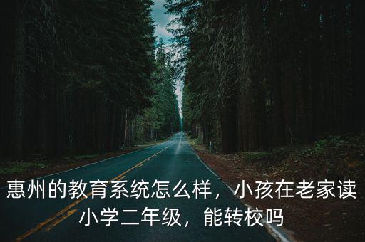 惠州市南方小學怎么樣,小孩在老家讀小學二年級