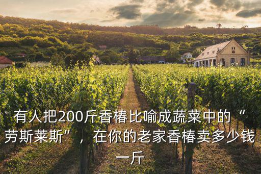 威海市香椿芽多少錢一斤,2021年香椿多少錢一斤