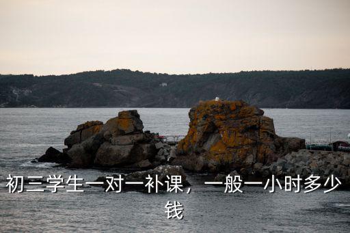 初三學(xué)生一對(duì)一補(bǔ)課，一般一小時(shí)多少錢