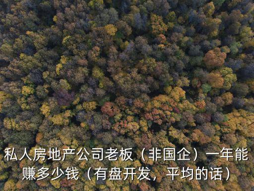 私人房地產(chǎn)公司老板（非國(guó)企）一年能賺多少錢（有盤開發(fā)，平均的話）