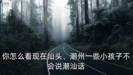 汕頭宕石大橋潮汕話怎么說,汕頭話和揭陽話有什么區別