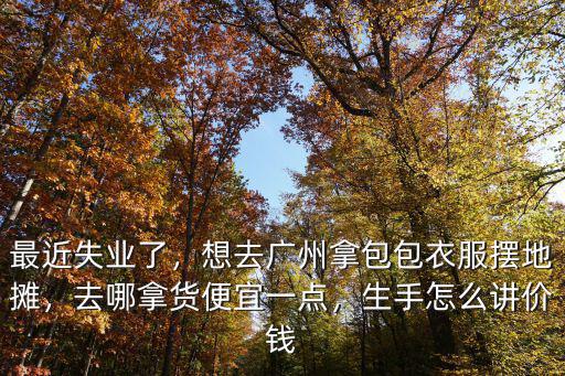 廣州女生包包去哪里拿貨,想去廣州拿包包衣服擺地攤