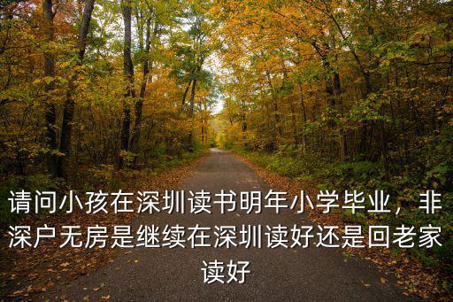 請問小孩在深圳讀書明年小學畢業，非深戶無房是繼續在深圳讀好還是回老家讀好