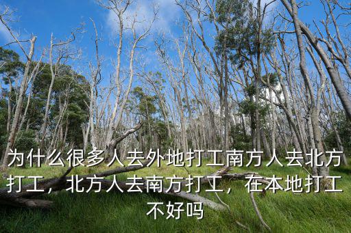 多少北方人在溫州打工,北方人去南方打工