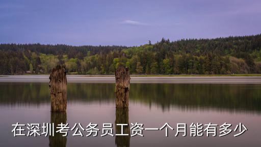 在深圳考公務員工資一個月能有多少