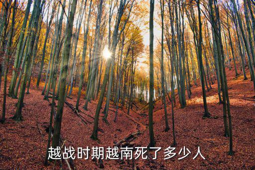越戰山東人犧牲了多少人,越戰時期越南死了多少人