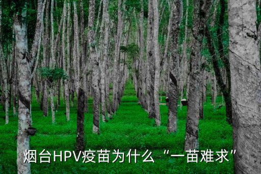 煙臺接種疫苗多少錢,65歲以上的疫苗多少錢