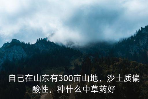 中草藥山東有多少種,種什么中草藥好