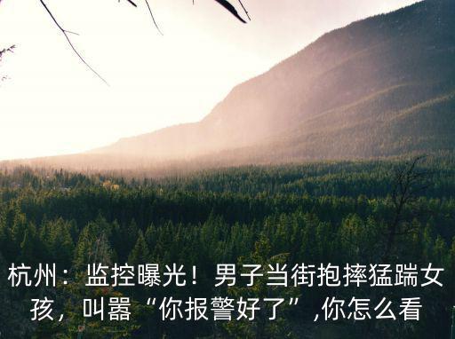 杭州：監控曝光！男子當街抱摔猛踹女孩，叫囂“你報警好了”,你怎么看