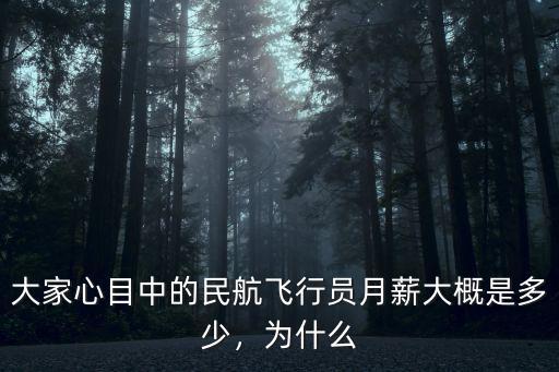 濱州民航飛行員月工資多少,民航飛行員的工資待遇如何