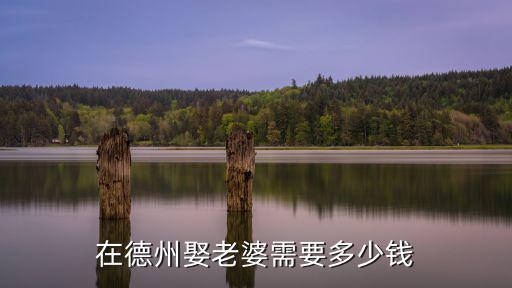 在德州娶老婆需要多少錢