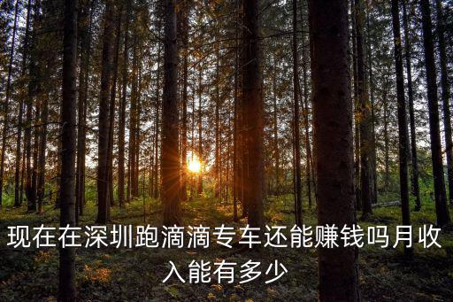 深圳滴滴每個月工資多少,我想租車跑滴滴