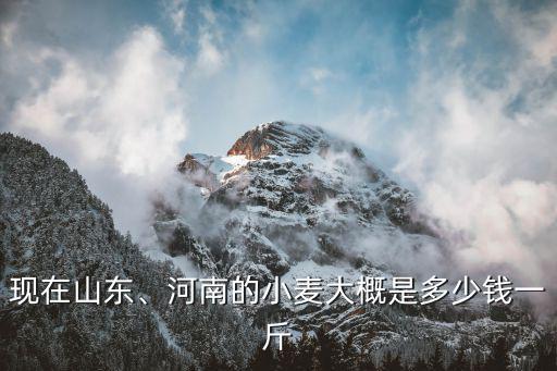山東禹城的小麥多少錢,河南的小麥大概是多少錢一斤