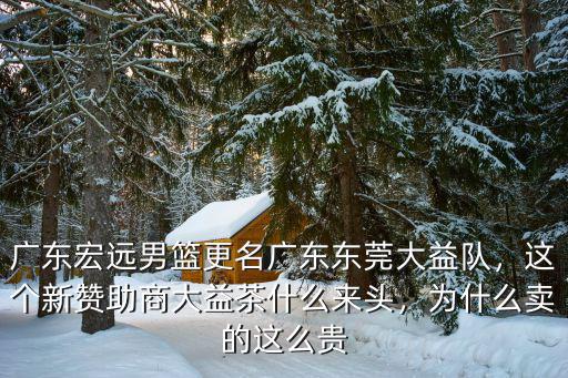 廣東宏遠(yuǎn)男籃更名廣東東莞大益隊，這個新贊助商大益茶什么來頭，為什么賣的這么貴