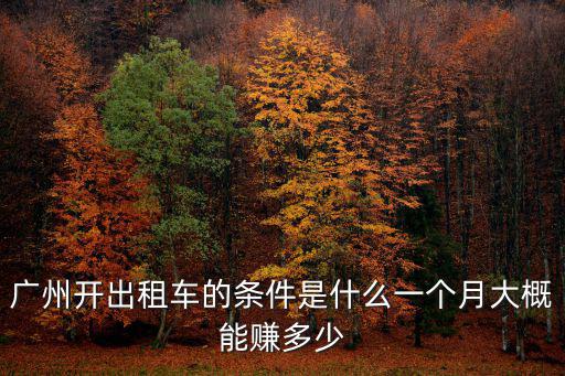 廣州開出租車的條件是什么一個月大概能賺多少