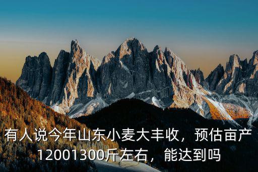 山東小麥和玉米的畝產多少,山東小麥進入收割期
