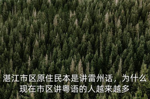 湛江市區(qū)哪里有雷州拉粉賣,湛江雷州哪里最值得去玩