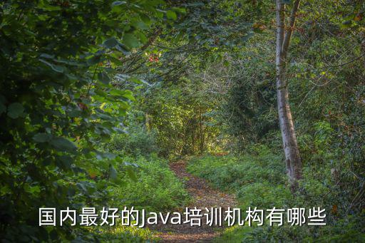 國(guó)內(nèi)最好的Java培訓(xùn)機(jī)構(gòu)有哪些