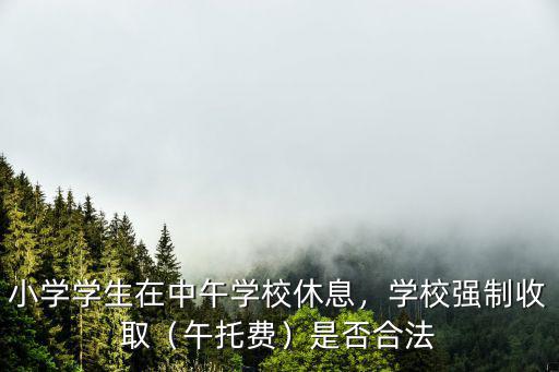 汕頭小學學校午托怎么收費,小學學生在中午學校休息