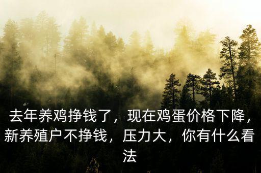 去年養雞掙錢了，現在雞蛋價格下降，新養殖戶不掙錢，壓力大，你有什么看法
