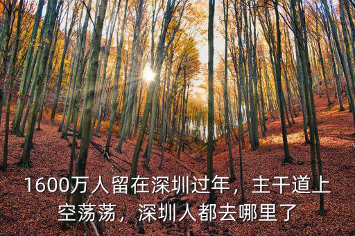 1600萬人留在深圳過年，主干道上空蕩蕩，深圳人都去哪里了