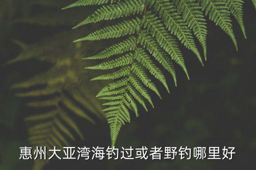 惠州大亞灣海釣過或者野釣哪里好