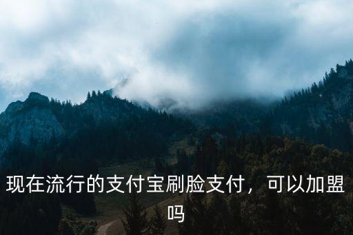 汕尾哪里有刷臉支付加盟,刷臉支付加盟哪家好