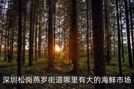 深圳市松崗哪里有賣海鮮的,深圳有什么特產(chǎn)