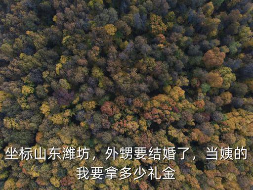 坐標山東濰坊，外甥要結婚了，當姨的我要拿多少禮金